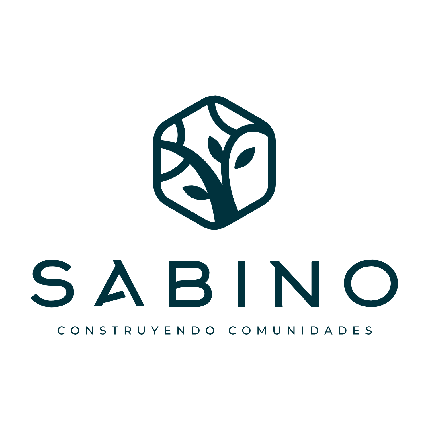 Logo 6